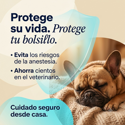 cepillo dental zenglide para mascotas